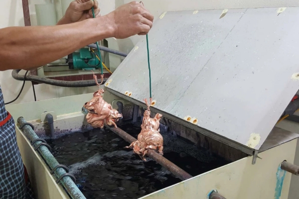 Kim loại nền được gắn vào cathode, còn điện cực vàng được gắn vào anode