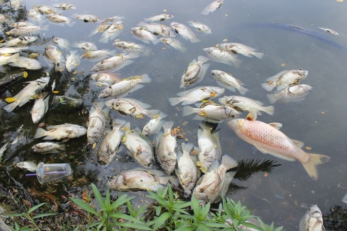 a5-15-43-05-747 a5-15-43-05-747