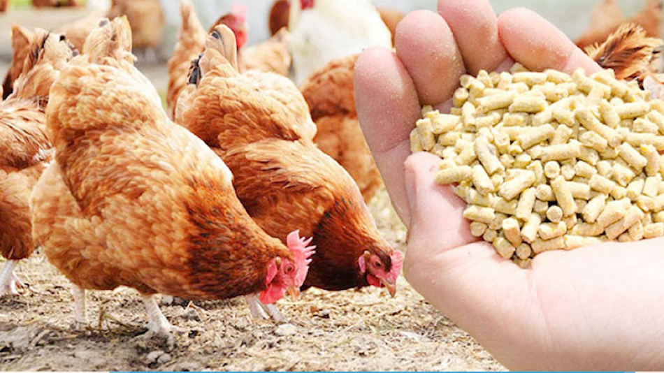 maxresdefault maxresdefault